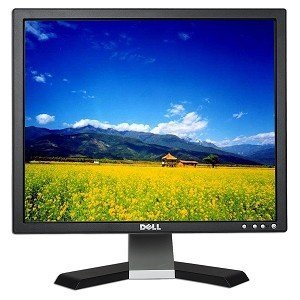 19" Dell E198FPb LCD Monitor (Black) N3