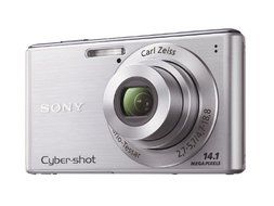 SONY Digital Camera Cybershot W530 - International Version (No Warranty)