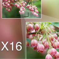 Ybluesky Protable Full HD 1080P Digital Video Camera Camcorder Max 24.0 Megapixels 16X Digital Zoom Video Infrared... N3