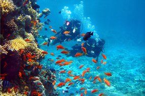 TecTecTec Action Camera Ultra HD XPRO2+ WiFi Waterproof Sport Cam - Silver N2