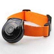 NEW Pet Camera Dog Cat Collar Video Camera Pet's Eyes Auto Interval Record N4