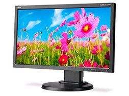 21In Led Backlit Lcd Monitor-E203WI-BK