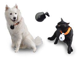 Mini Pet Camera FK-8009X Dog Cat Collar Video Camera Auto Interval Record Q3508A Fshow N2