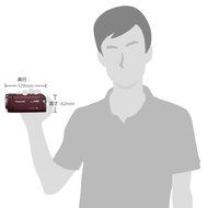 Panasonic digital high-definition video camera (Black) HC-W570M-K - International Version (No Warranty) N10