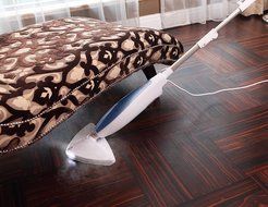 SALAV STM-402 Professional Series LED Steam Mop, 1100-watt, Blue N6