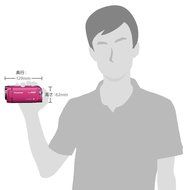 Panasonic digital high-definition video camera (Black) HC-W570M-K - International Version (No Warranty) N12