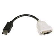 STARTECH.COM DP2DVI / DisplayPort to DVI Video Adapter Converter