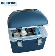 GoodRuler@ Car Office Dual-use Portable 20l Mini Refrigerator Car Warm and Cold Boxes