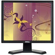 Dell E170S 17-inch flat panel monitor