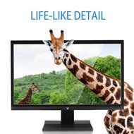 V7 L18500WS-9N 48cm (18,5 inch) Monitor (VGA, 1366x768, 5ms, Speakers, Energy Label A+) black N12