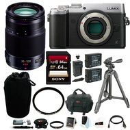 Panasonic DMC-GX8S LUMIX GX8 Mirrorless Camera (Silver, Body Only) with 35-100mm Lens and Accessory Bundle N3