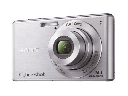 SONY Digital Camera Cybershot W530 - International Version (No Warranty)