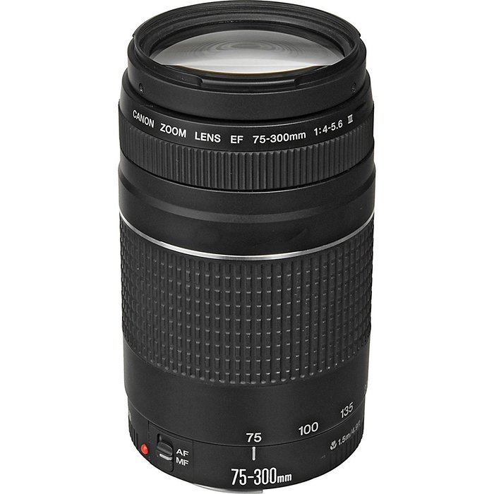 Canon EOS Rebel T5i Digital SLR Camera & EF-S 18-55mm IS STM & 75-300mm III Lens with 32GB Card + Case + Battery... N4