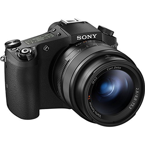 Sony Cyber-shot DSC-RX10 II Digital Camera DSC-RX10M2 N5
