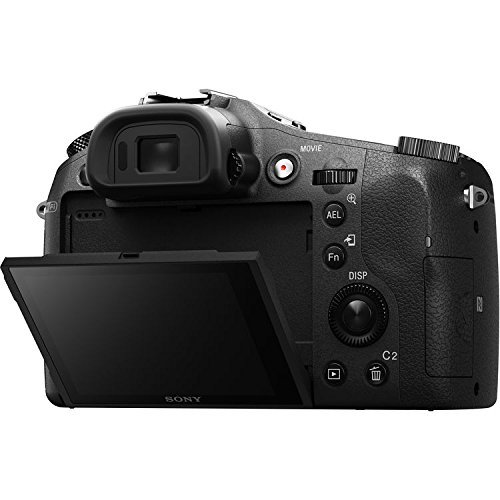 Sony Cyber-shot DSC-RX10 II Digital Camera DSC-RX10M2 N6