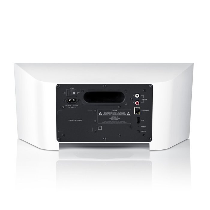 Raumfeld One M Streaming Wireless Speaker (Black) N10