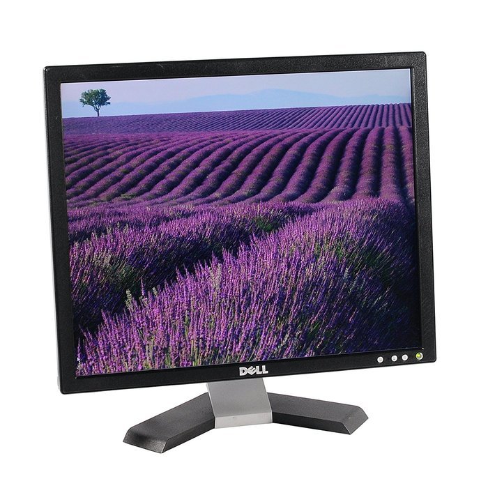 Dell E197FP 19-inch Flat Panel Monitor N4