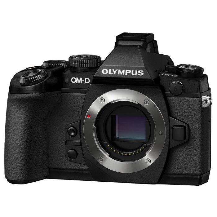 Olympus OM-D E-M1 16MP Compact System Camera (Body Only) Bundle with Olympus M Zuiko Digital ED 12-40mm f/2.8... N5