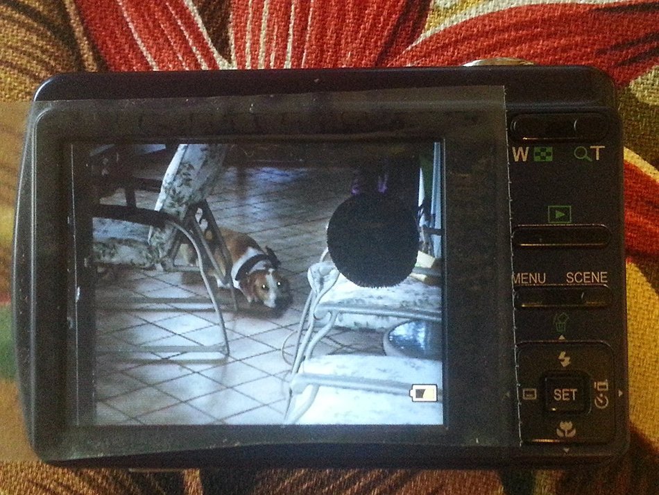 Sanyo VPC-S120 12.1 Megapixel Digital Camera