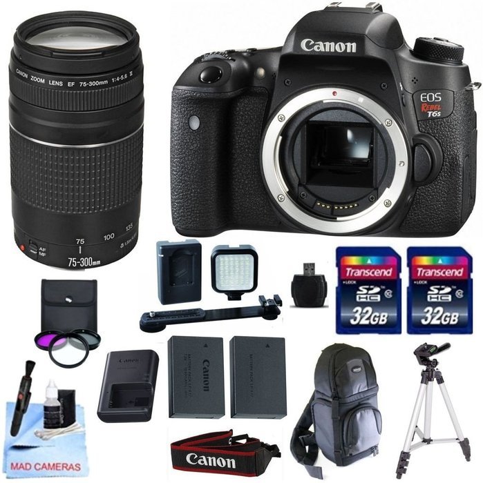 Canon EOS T6s + Canon EF 75-300mm III Lens + 2 32GB Transcend SD Memory Cards + LED Video Light + Spare LP E17...