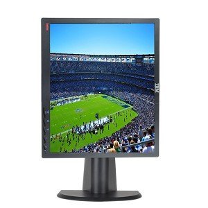 IBM ThinkVision L192p 19-Inch Flat Panel LCD Monitor (9419-HB2) N3