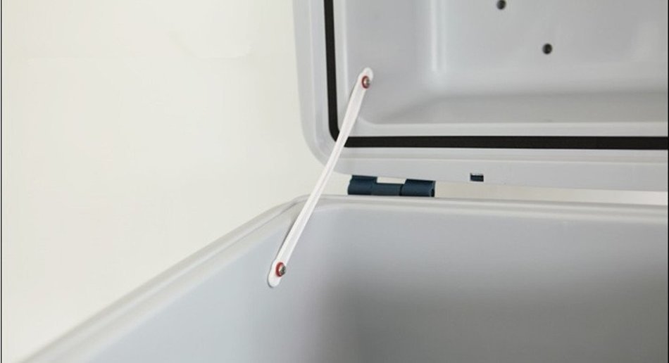 GoodRuler@ Car Office Dual-use Portable 20l Mini Refrigerator Car Warm and Cold Boxes N2