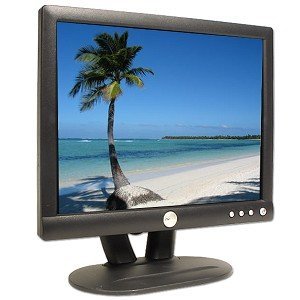 Dell E152FPb 15" LCD Monitor