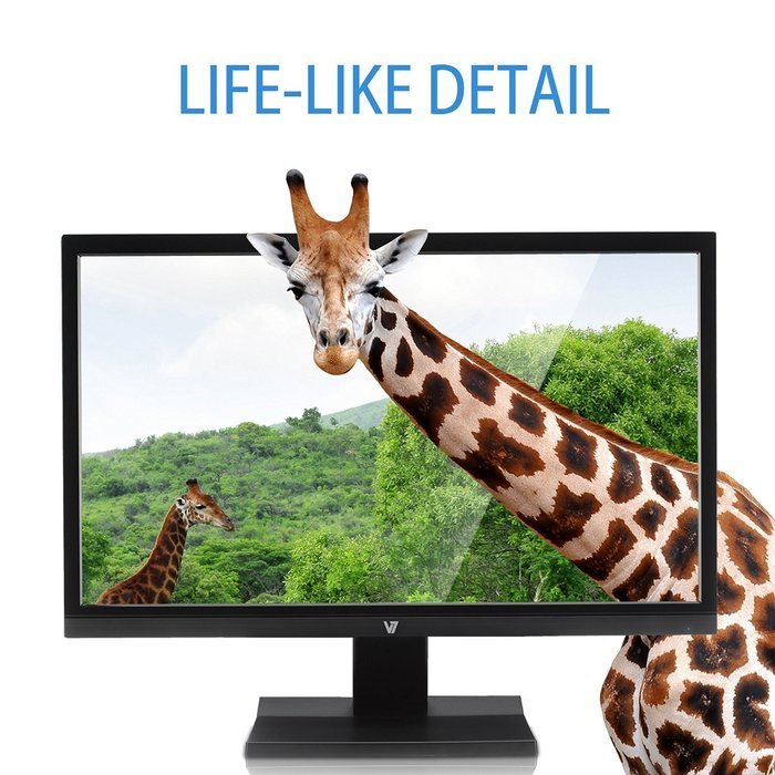 V7 L18500WS-9N 48cm (18,5 inch) Monitor (VGA, 1366x768, 5ms, Speakers, Energy Label A+) black N12