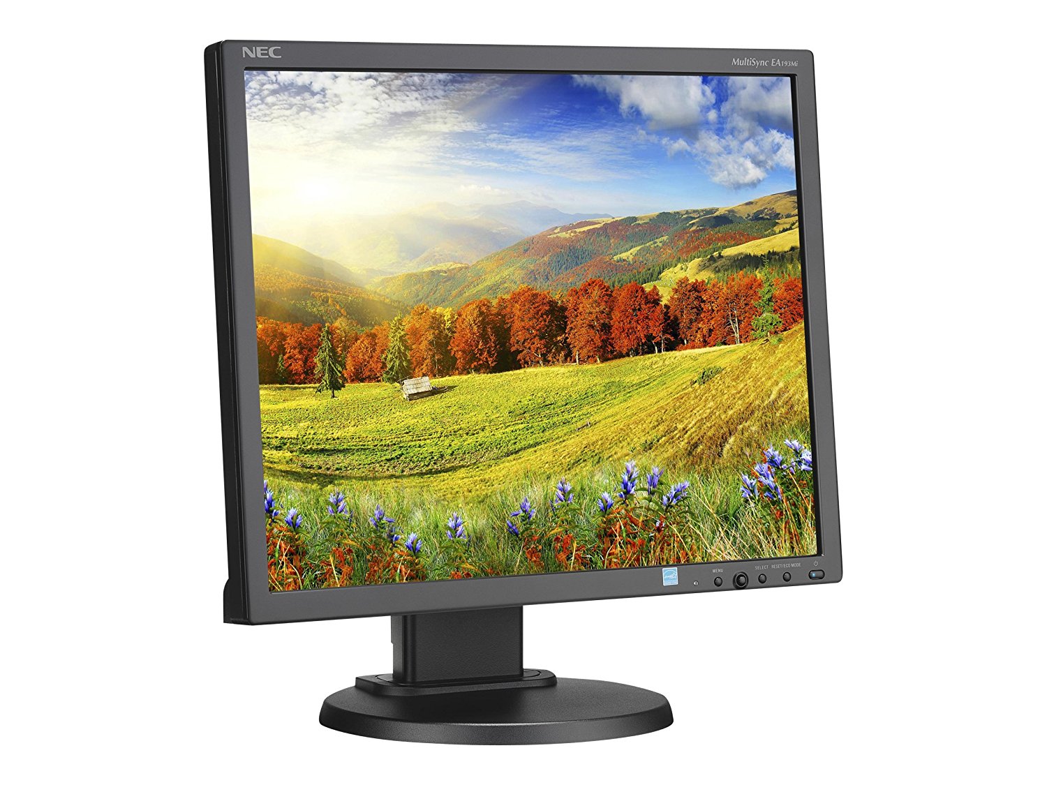 NEC Display EA193MI-BK MultiSync 19'' LED-Backlit LCD Monitor, Black N2 ...