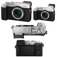 Panasonic DMC-GX8S LUMIX GX8 Mirrorless Camera (Silver, Body Only) with 35-100mm Lens and Accessory Bundle N5