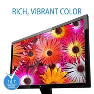 V7 L18500WS-9N 48cm (18,5 inch) Monitor (VGA, 1366x768, 5ms, Speakers, Energy Label A+) black N21
