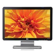 HP W1907 19-inch Widescreen Flat Panel LCD Monitor N3