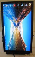 Dell Professional P2211H 21.5&quot; Widescreen LED Monitor N5