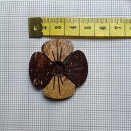 Coconut shell buttons 'Wood of Beauty' N3