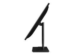 Acer UM.QB6AA.B01 B246HYL 23.8&quot; Screen LED-Lit Monitor N2