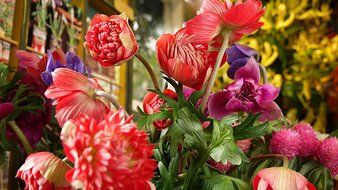 Sony 4k Ultra HD Camcorder N13