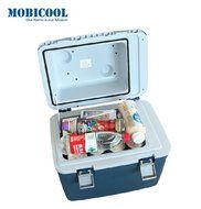 GoodRuler@ Car Office Dual-use Portable 20l Mini Refrigerator Car Warm and Cold Boxes N5
