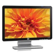 HP W1907 19-inch Widescreen Flat Panel LCD Monitor N4