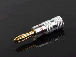 Efreecity&reg; New 10 pcs 24K Gold Nakamichi Speaker Banana Plug Audio Jack Connector N2