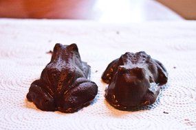 Frog Chocolate Candy Mold N4