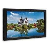 NEC V321-2 32" Commercial Monitor Display with Speakers 1366x768 HDMI DVI (Certified Refurbished) N3