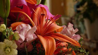 Sony 4k Ultra HD Camcorder N15