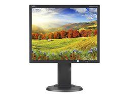 NEC Display EA193MI-BK MultiSync 19&#039;&#039; LED-Backlit LCD Monitor, Black N5