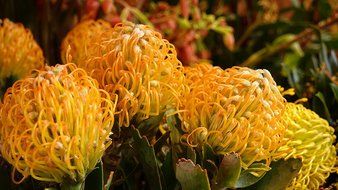 Sony 4k Ultra HD Camcorder N22