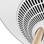 B&amp;O PLAY by Bang &amp; Olufsen Beoplay A9 Music System Multiroom Wireless Home Speaker (White &amp; Maple) N8