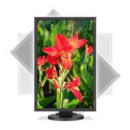 NEC E245WMI-BK 24&quot; Screen LED-Lit Monitor N5
