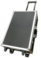 VP EmBraille with Travel Case N6