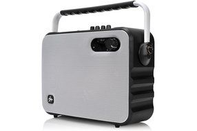 Fisher Wireless Bluetooth Karaoke Boombox System, FM Radio Player, Amplifier, Auxiliary Input, USB Port, and Ultra-Portable... N8