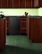 Summit FS408BLBI7ADA: Commercially listed ADA Compliant 20" wide built-in undercounter all-freezers, -20(degree...