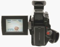 Panasonic PVDV910 MiniDV Digital Palmcorder Camcorder (Discontinued by Manufacturer) N5